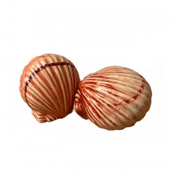 Sel & Poivre Coquille Rose